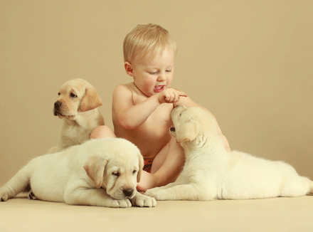 Ребенок и три щенка