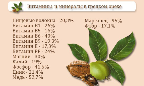 Vitaminy-i-mineraly-v-greckom-orehe