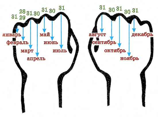 Как определить сколько дней в месяце