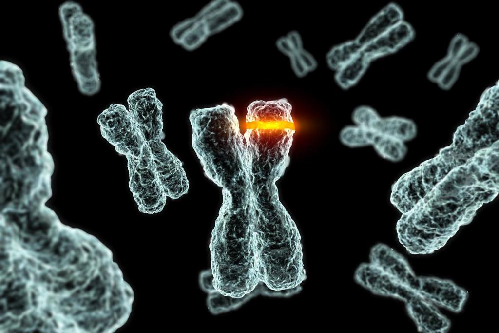 Мутация в хромосомах