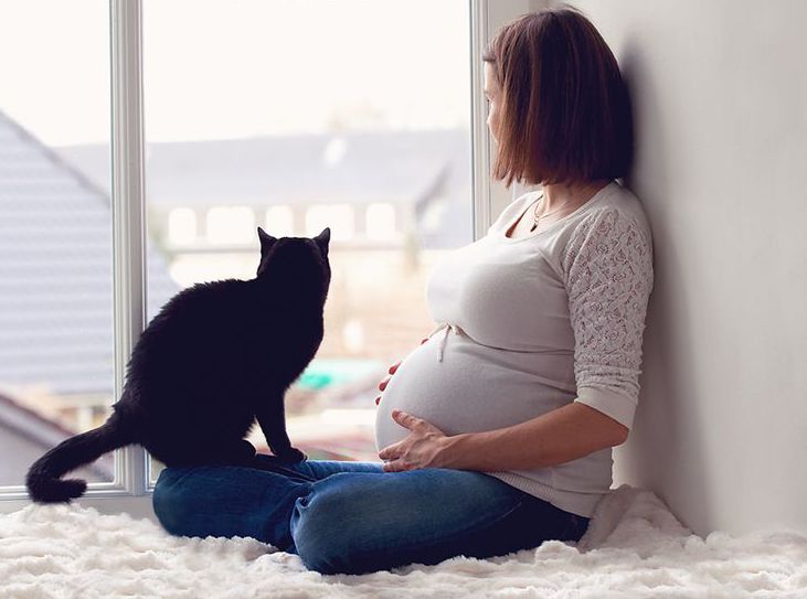 беременная женщина и кошка