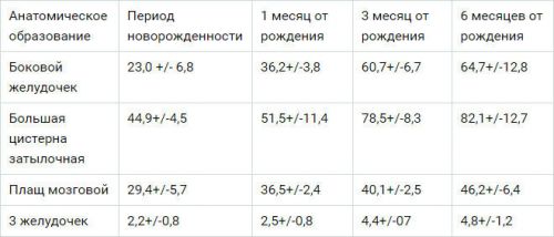 УЗИ новорожденного