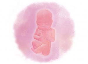 image3 e1580854419202 300x219 - Тридцать вторая неделя беременности