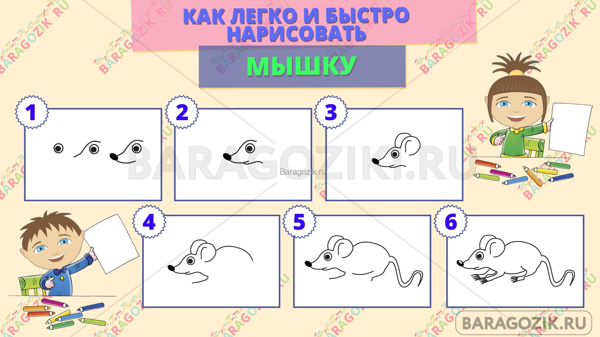 как легко нарисовать мышку - пошаговая схема
