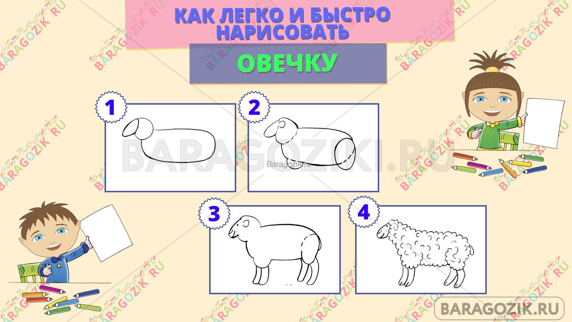 как легко нарисовать овечку - пошаговая схема