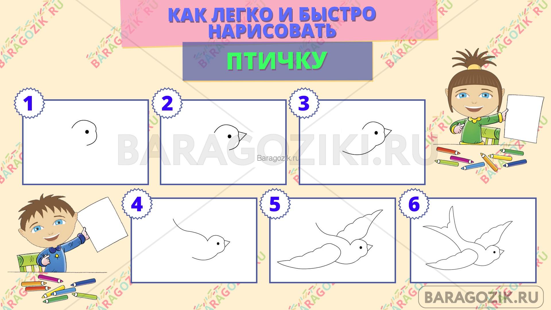 как легко нарисовать птичку - пошаговая схема