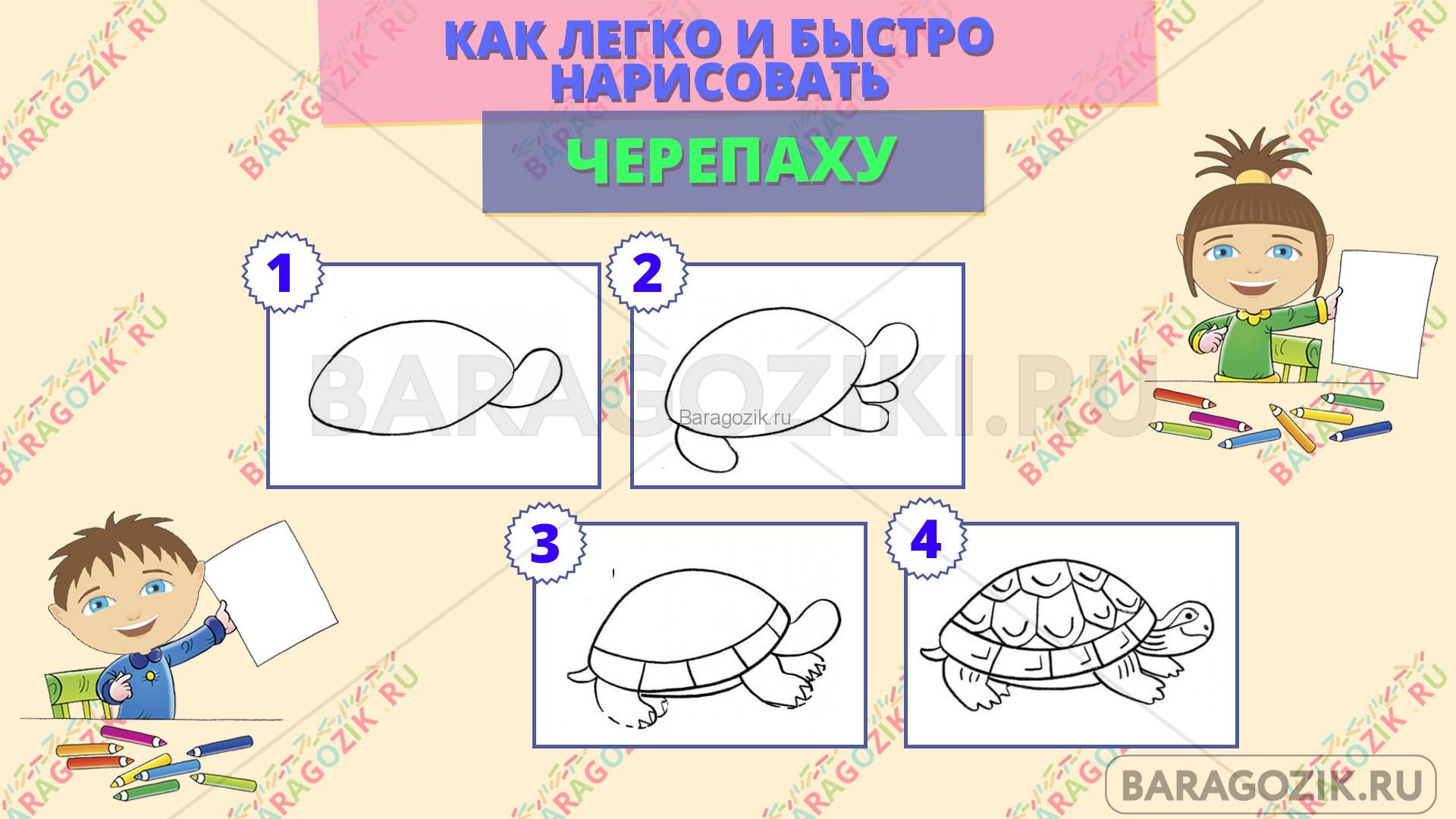 как легко нарисовать черепаху - пошаговая схема