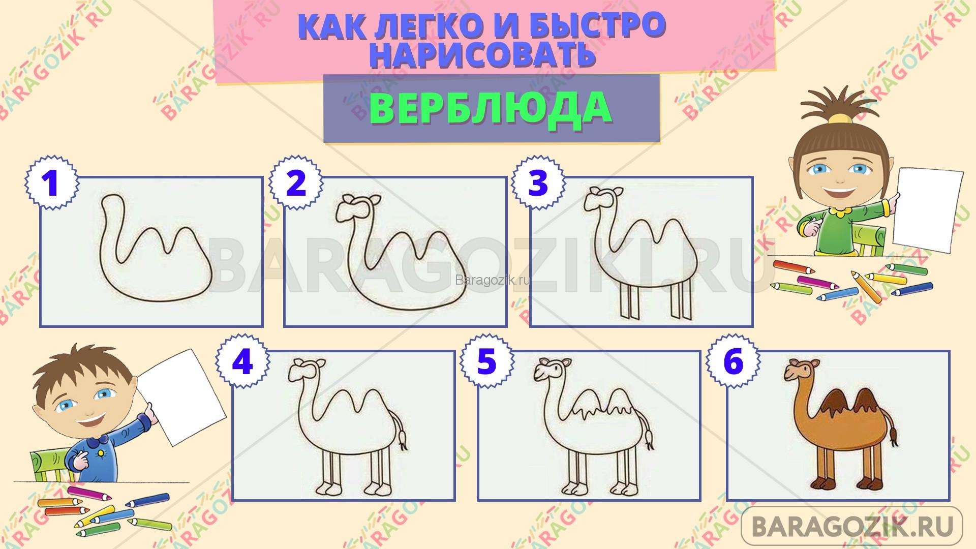 как легко нарисовать верблюда - пошаговая схема