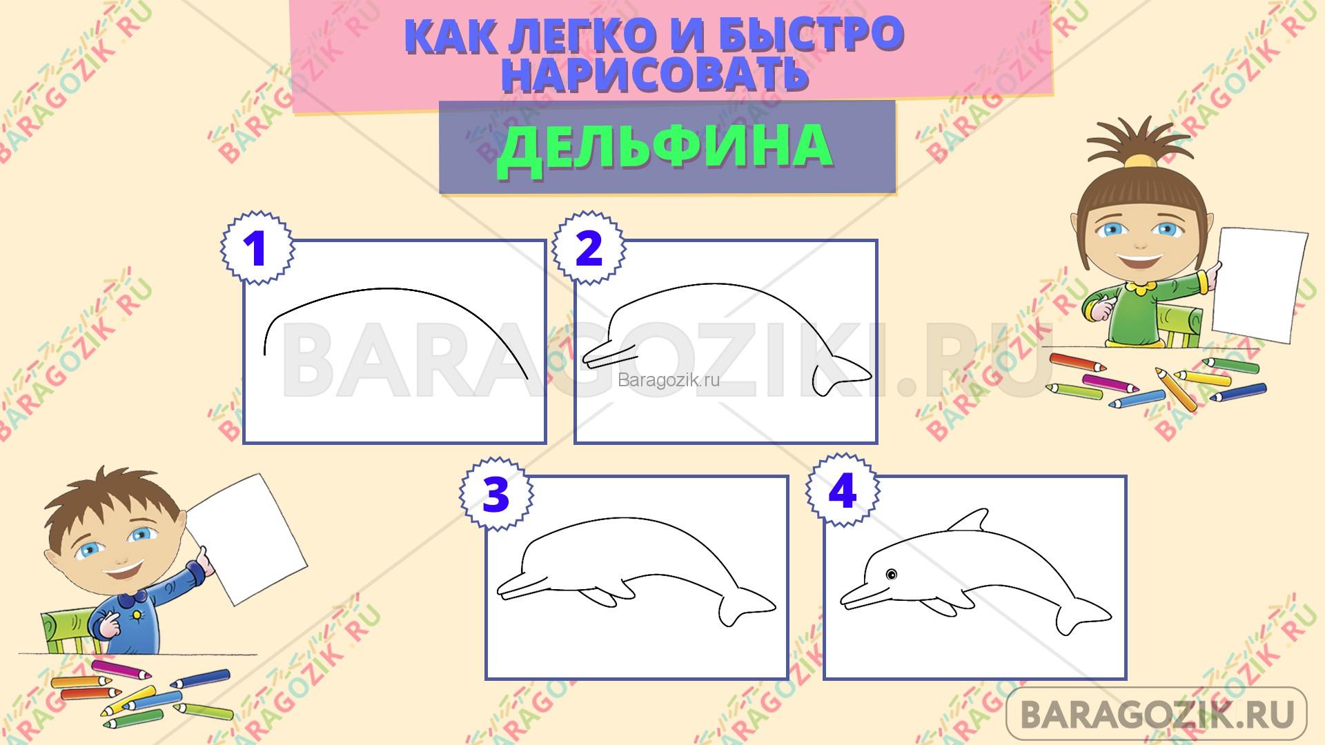 как легко нарисовать дельфина - пошаговая схема