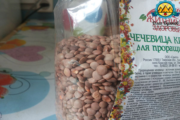 зерно красной чечевицы