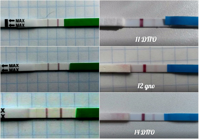 Тест на овуляцию положительный и отрицательный фото