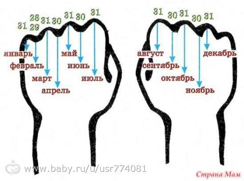 Времена года. Учим месяцы. Что такое год?