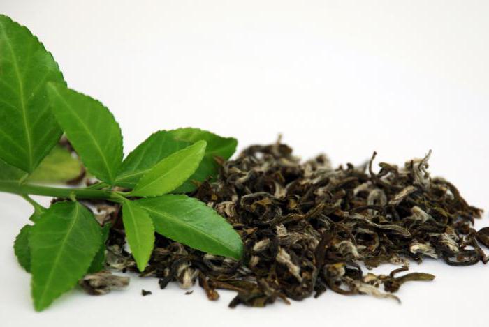 можно ли пить зеленый чай при грудном вскармливании