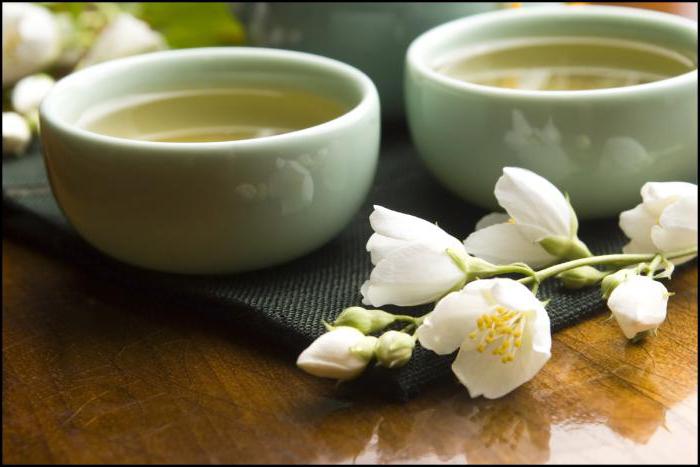зеленый чай с жасмином при грудном вскармливании