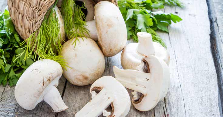 Особенности употребления грибов при грудном вскармливании