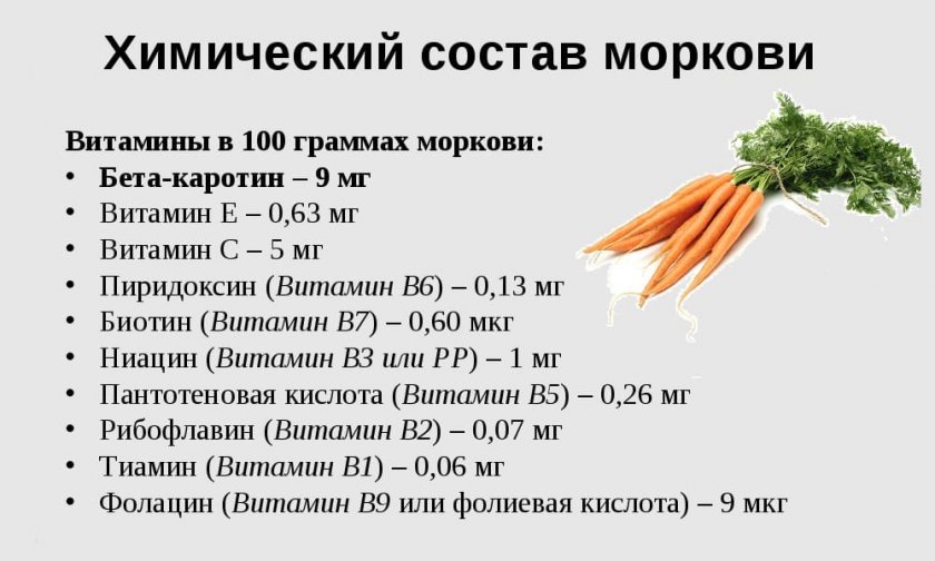 Химический состав моркови
