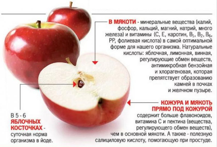 Польза яблока