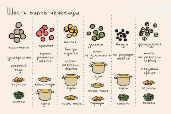 Таблица видов чечевицы и блюд из них