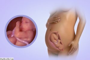 31 неделя беременности от зачатия