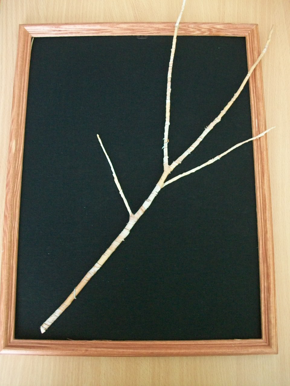 I:\панно\100_7688.JPG