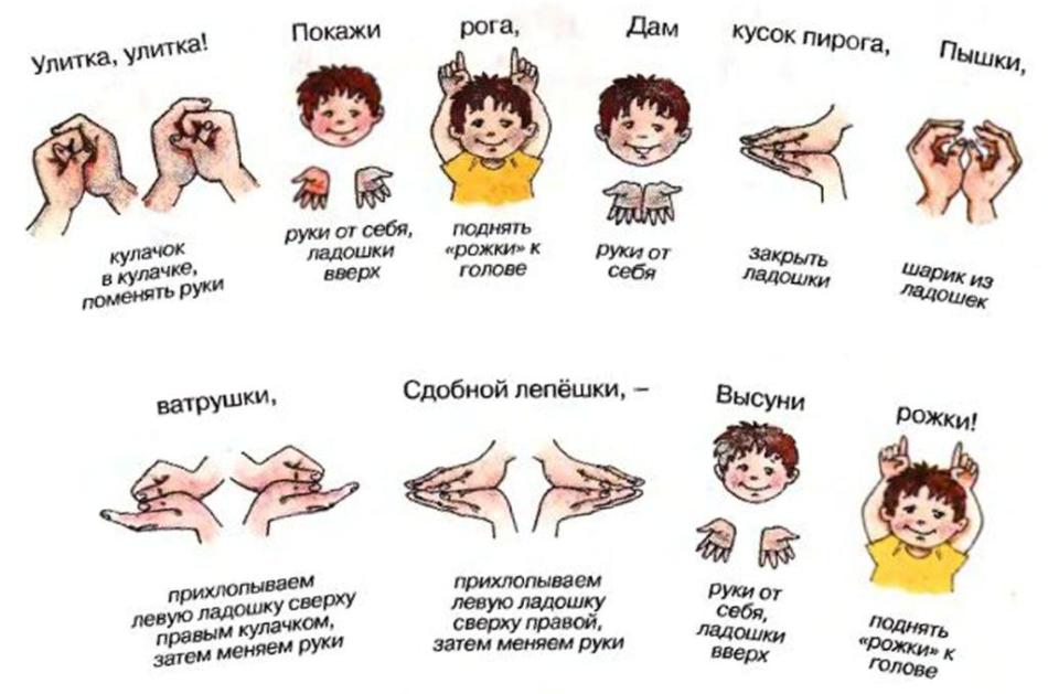Пример пальчиковой гимнастики для развития речи