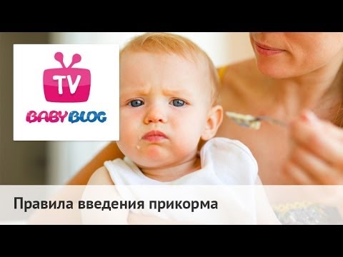 Картинка 5