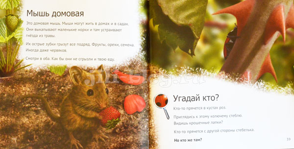 Кто живет у нас на даче Фото разворота