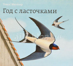 Мюллер Год с ласточками Фото