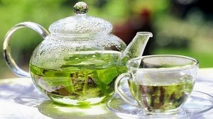 зеленый чай при беременности вред