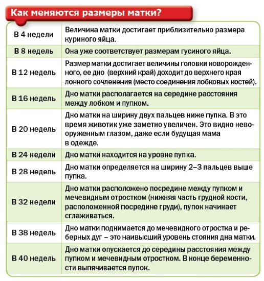 16 недель беременности. Фото живота, плода, УЗИ, что происходит с малышом, мамой