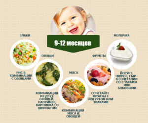 Рацион питания 9  месячного ребенка