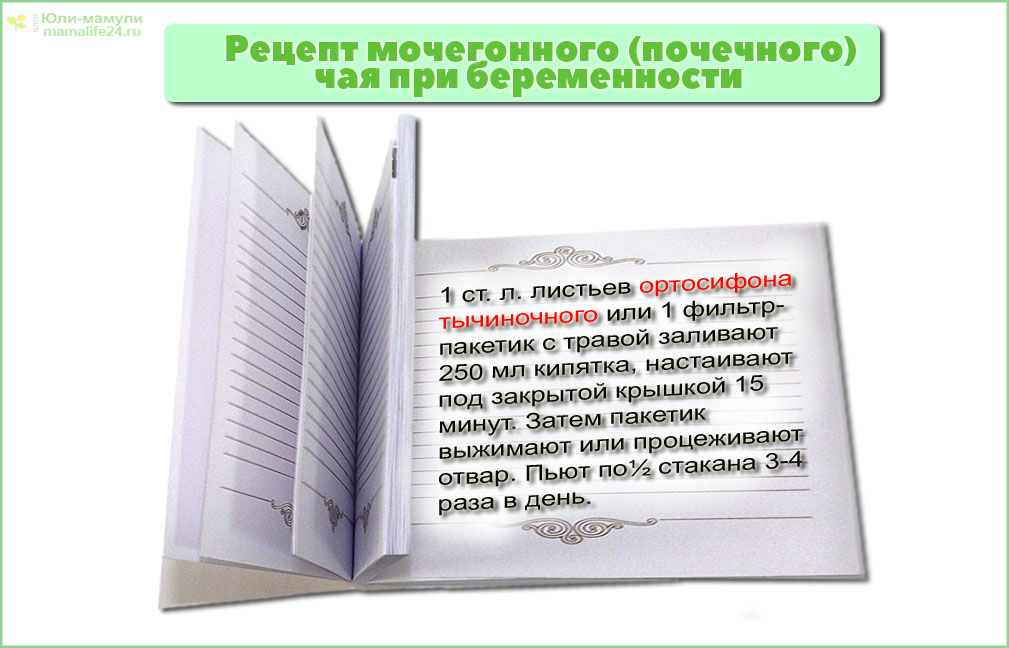 Мочегонный (почечный) чай при беременности рецепт