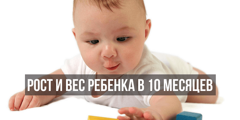 Рост и вес ребенка в 10 месяцев