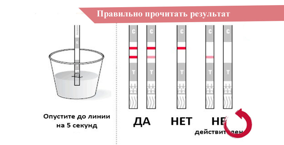 Результаты полоски на овуляцию