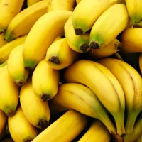 Множество жёлтых и спелых бананов