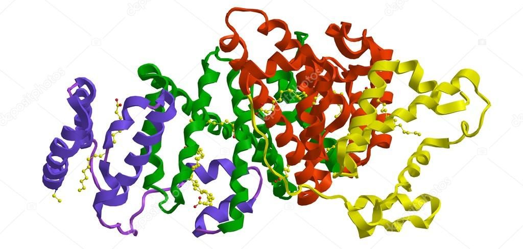 Молекулярная структура сывороточного альбумина человека
