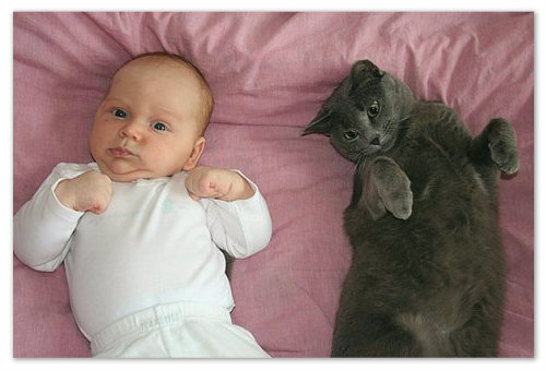 Младенец и кот 