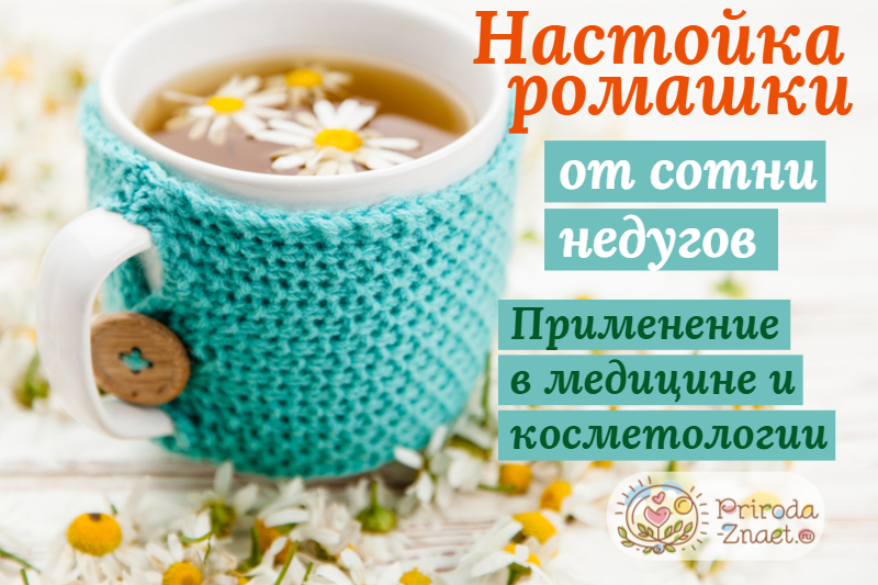 Настойка ромашки