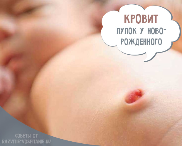 Главная картинка