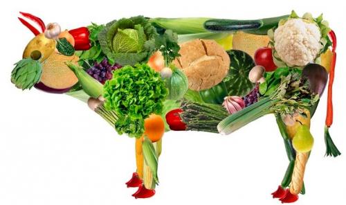 Чем заменить мясо без вреда для здоровья. Чем заменить мясо в питании при вегетарианстве