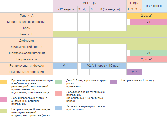 Календарь прививок детям и взрослым в случае эпидемии 