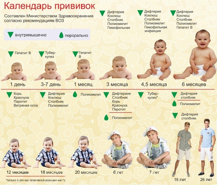 календарь прививок 2016 россия таблица 