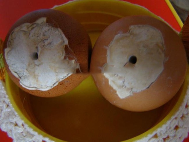 Поделки из яиц своими руками к Пасхе, а также из яичной скорлупы, лотков и Киндерсюрприза