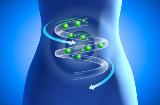 Схема продвижения веществ по кишечнику