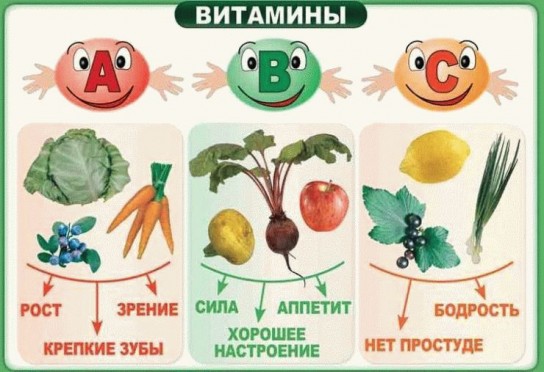 Причины отсутствия беременности