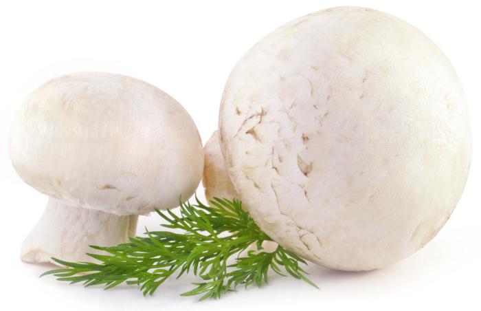 шампиньоны для пиццы