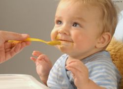 Ребенок в 6 месяцев – развитие и питание