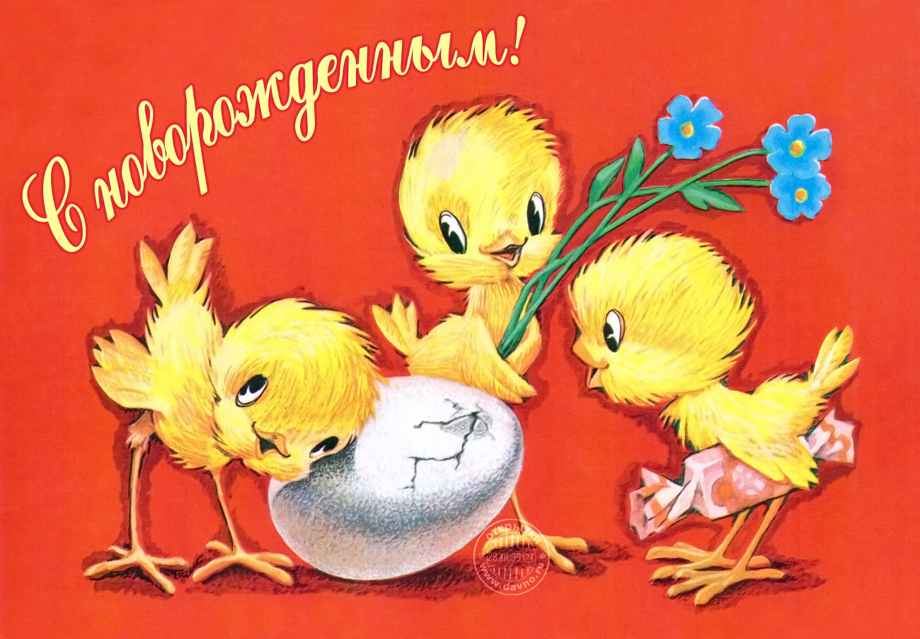 С рождением внука!