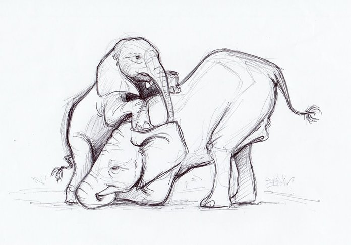 Слониха и слоненок карандашом