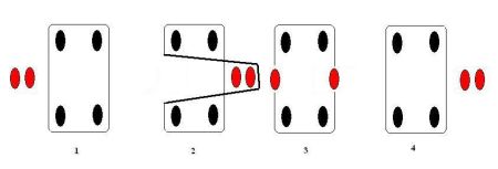 7 7